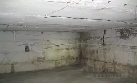 Помещение свободного назначения в Новосибирская область, Новосибирск ...