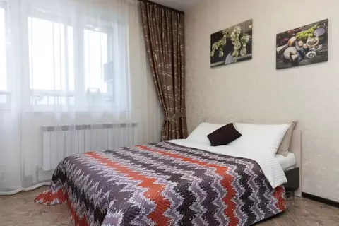 1-к кв. Новосибирская область, Новосибирск ул. Фрунзе, 49 (33.0 м)