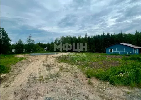 Участок в Карелия, Пряжинский район, пос. Чална  (15.0 сот.)