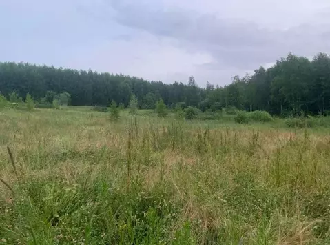 Продается участок в д. Никулино