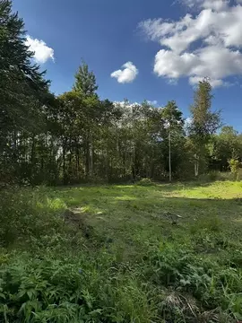 Дом в Ленинградская область, Ломоносовский район, Оржицкое с/пос, д. ...