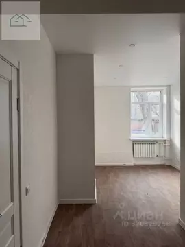 Студия Воронежская область, Воронеж ул. Еремеева, 43 (17.2 м)