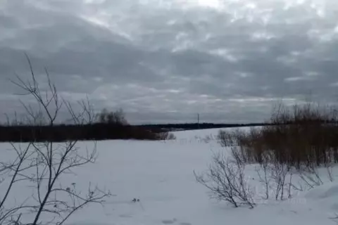 Участок в Московская область, Дмитровский муниципальный округ, д. ...