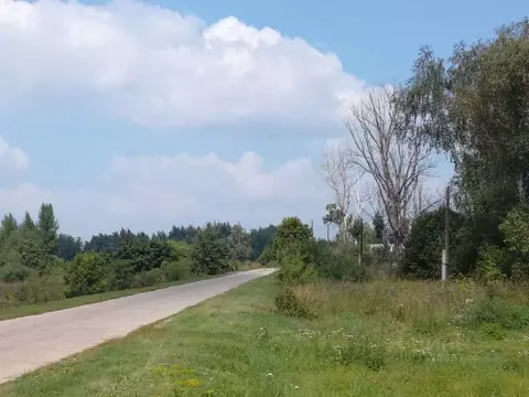 Участок в Рязанская область, Кораблинский муниципальный округ, д. ...