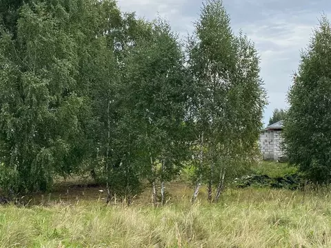 Участок в Челябинская область, Копейск пер. Кузнечный, 2 (10.0 сот.)