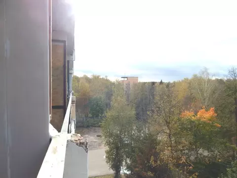 Студия Московская область, Химки Новогорск мкр, ул. Ивановская, 12 ...