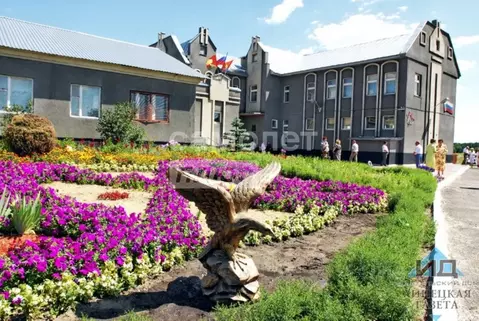 Участок в Липецкая область, Добровский муниципальный округ, с. ...