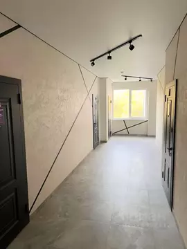 Студия Краснодарский край, Сочи Коммунальная ул., 41 (19.0 м)