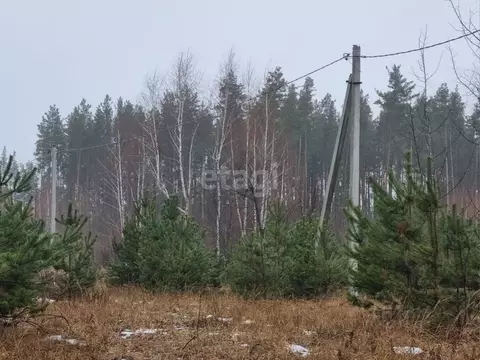 Участок в Тамбовская область, Тамбовский муниципальный округ, Луговое ...