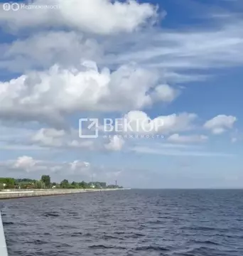 Дом в Юрьевец, Лесная улица, 19 (50 м)