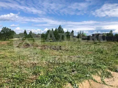 Участок в Тюменская область, Тюменский район, Лоза СНТ ул. 16-я, 8 ...