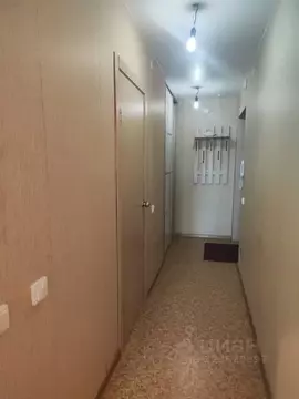 Студия Красноярский край, Красноярск ул. Калинина, 175А (30.6 м)