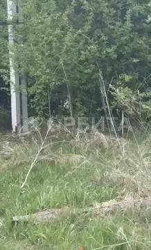 Участок в Тюменская область, Голышмановский муниципальный округ, с. ...