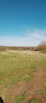 Участок в Ярославская область, Тутаевский муниципальный округ, д. ...