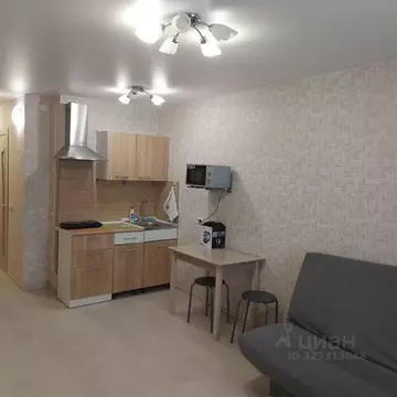 Студия Свердловская область, Екатеринбург ул. Рощинская, 28 (24.0 м)