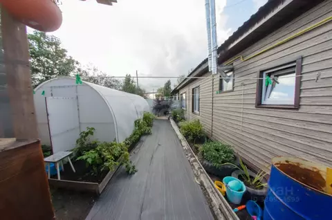 Дом в Курганская область, Шадринск ул. 1-я Энергетиков, 6 (56 м)