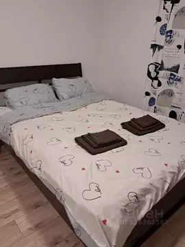 Студия Московская область, Ленинский городской округ, д. Сапроново ул. ...