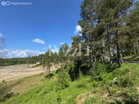 Участок в Всеволожский район, Бугровское городское поселение, деревня ...