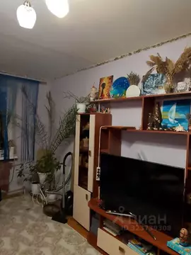 2-к кв. Пермский край, Пермь проезд 1-й Павловский, 4 (46.2 м)