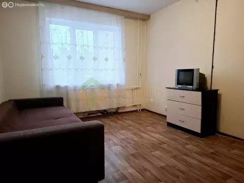 2-комнатная квартира: Санкт-Петербург, Дунайский проспект, 51к2 (55.1 ...