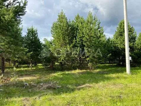 Участок в Тюменская область, Тюменский муниципальный округ, д. Елань  ...