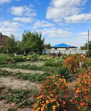 Дом в Воронежская область, Рамонский район, Новоживотинновское с/пос, ...