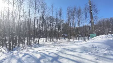 Участок в Московская область, Раменский муниципальный округ, с. ...