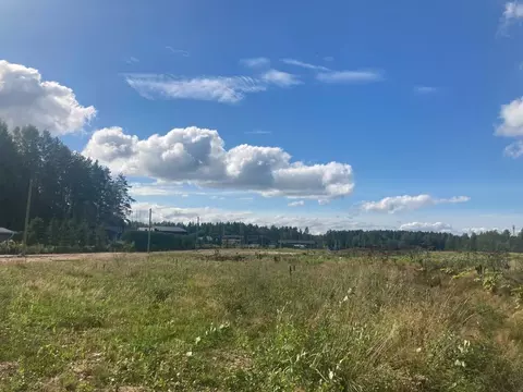 Участок в Ленинградская область, Выборгский район, Первомайское с/пос, ...