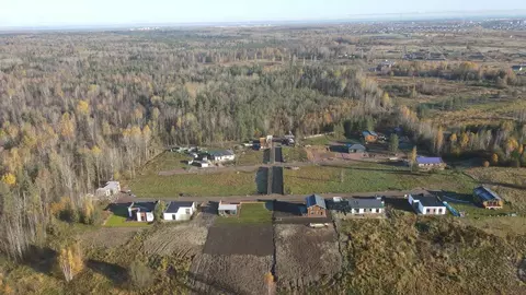 Участок в Ленинградская область, Ломоносовский район, Низинское с/пос, ...