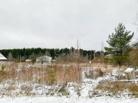 Участок в Ярославская область, Данилов Дубравная ул., 10 (13.5 сот.)