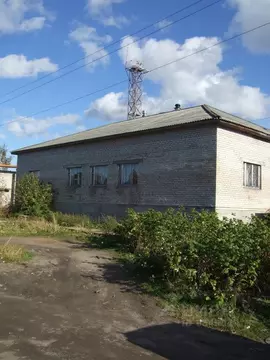 Помещение свободного назначения в Архангельская область, Онега ...