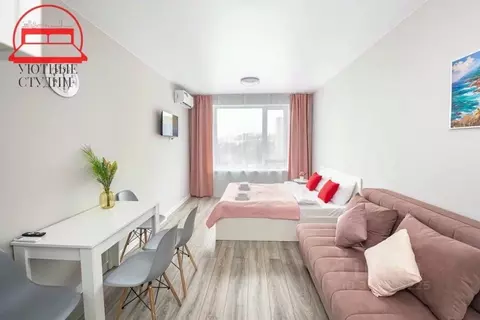 1-к кв. Приморский край, Владивосток Стрелковая ул., 18к2 (24.0 м)