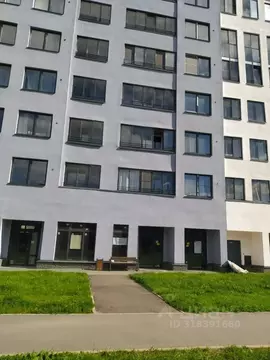 Помещение свободного назначения в Санкт-Петербург пос. Парголово, дор. ...