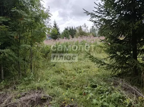 Участок в Карелия, Сортавальский муниципальный округ, Вяртсиля пгт ул. ...