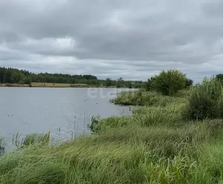 Участок в Ярославская область, Некрасовский муниципальный округ, ...