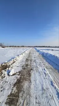 Участок в Тюменская область, Тюменский район, пос. Новотарманский ...