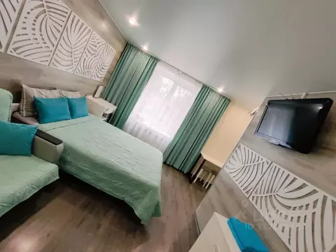 Студия Московская область, Ступино ул. Бахарева, 8 (24.0 м)