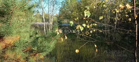 Участок в Владимирская область, Судогодский район, Лавровское ...