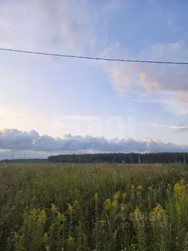 Участок в Марий Эл, Медведевский район, Руэмское с/пос, д. Нолька ул. ...
