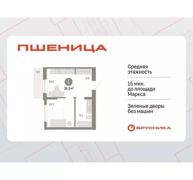 Студия Новосибирская область, Новосибирский район, Краснообск рп, 3-й ...