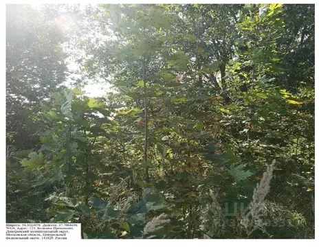 Участок в Московская область, Дмитровский муниципальный округ, с. ...