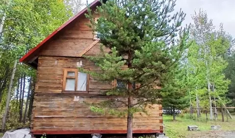 Дом в Архангельская область, Холмогорский муниципальный округ, д. Низ ...