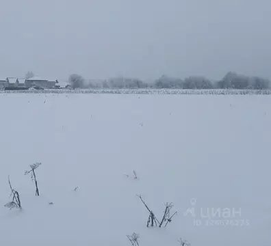 Участок в Московская область, Дмитровский муниципальный округ, пос. ...