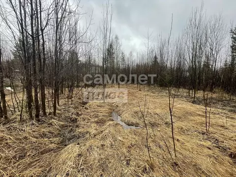 Участок в Коми, Сыктывдинский район, Выльгорт муниципальное ...
