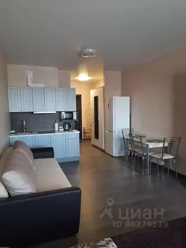 Студия Тверская область, Тверь ул. Коминтерна, 91 (32.0 м)