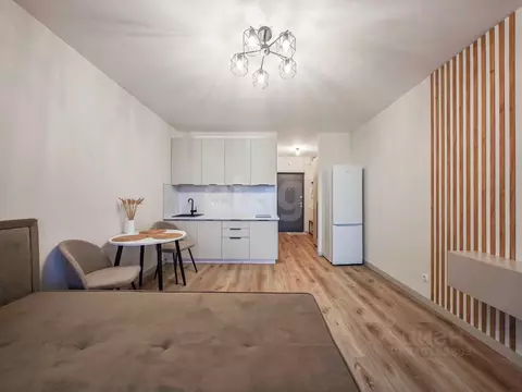 Студия Санкт-Петербург пос. Шушары, просп. Новгородский, 2к3 (25.0 м)