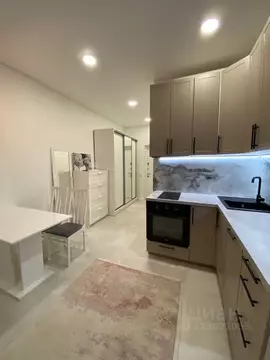 Студия Москва ул. Лобановский Лес, 11 (23.4 м)