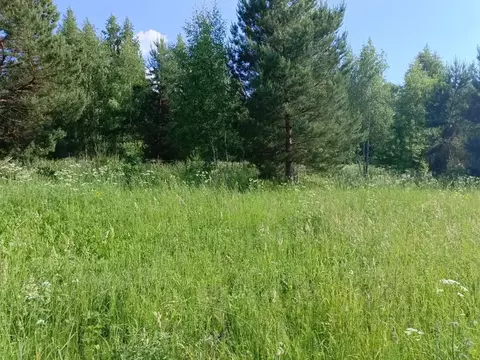 Участок в Московская область, Кашира городской округ, д. Малеево  ...