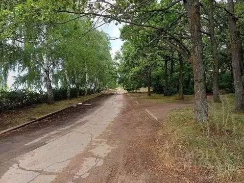 Участок в Самарская область, Тольятти Лесопарковое ш. (8.85 сот.)