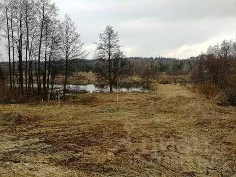 Участок в Калужская область, Перемышльский район, Большие Козлы с/пос, ...